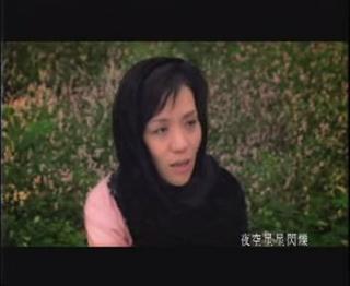 金钟歌后--王芷蕾